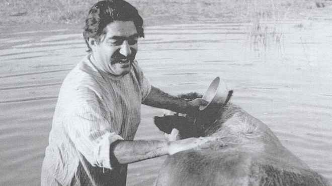 بزرگداشت سینمای ایران در دانمارک