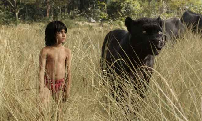 نقد فیلم کتاب جنگل