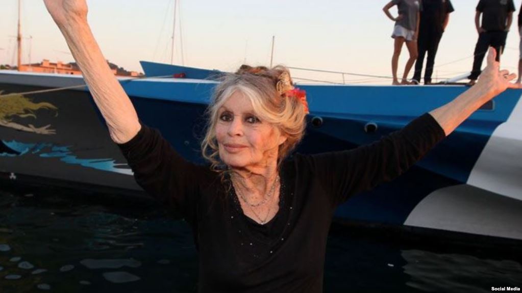 بریژیت باردو درباره‌ی موج ادعای آزار جنسی بازیگران زن: "ریاکارانه است!"